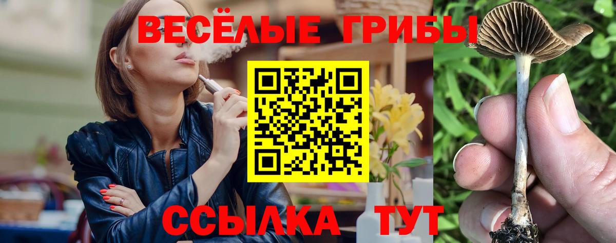 Новокуйбышевск  Псилоцибиновые грибы GOLDEN TEACHER  Псилоцибиновые грибы ЛСД  Вход с VPN 